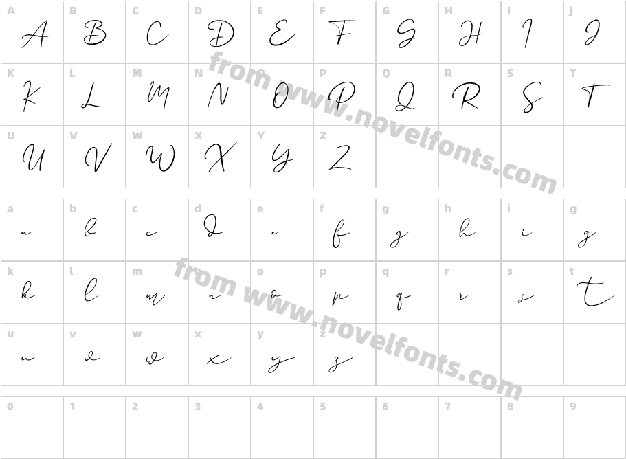 Paulina FreeCharacter Map