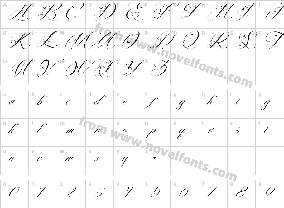 Perfecto Calligraphy Thin ItalicCharacter Map