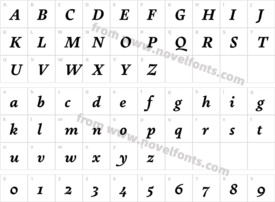 Pliego Semibold ItalicCharacter Map