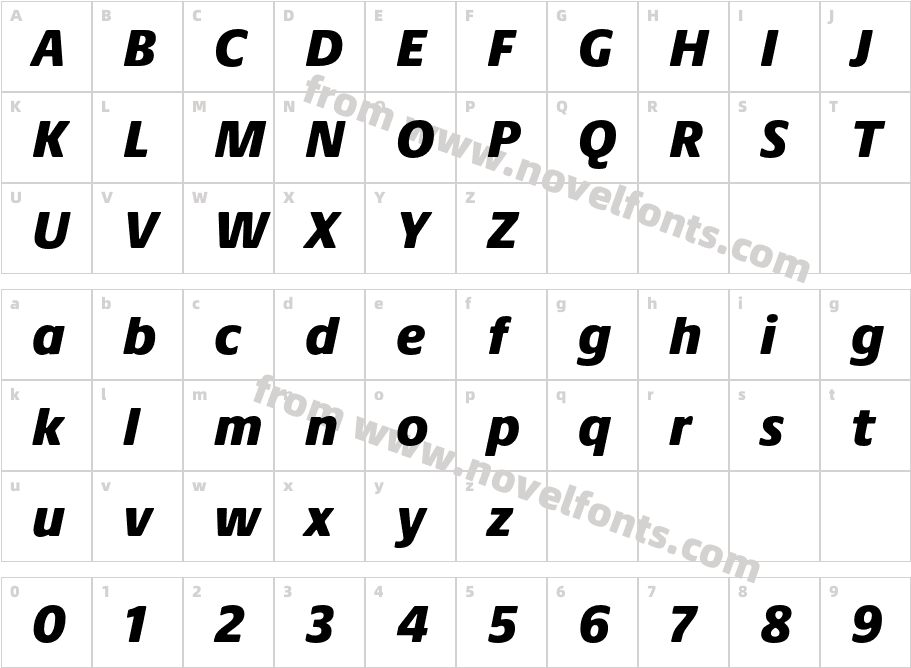 Praxis Next Black ItalicCharacter Map