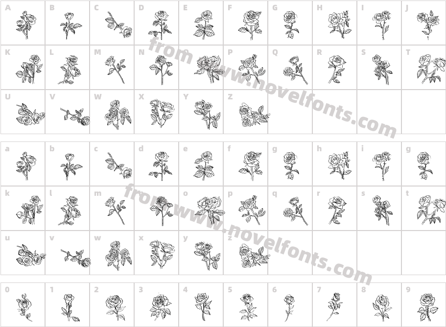 ROSES RegularCharacter Map