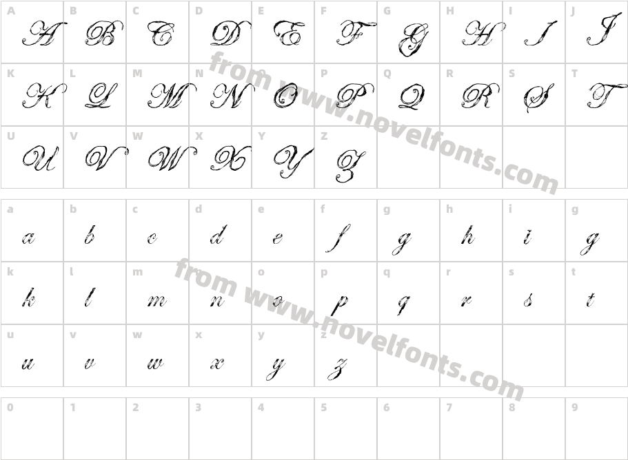 AntatomyCharacter Map