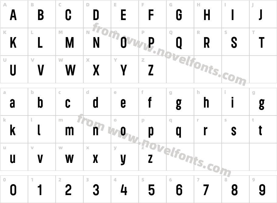 Roundkey MediumCharacter Map
