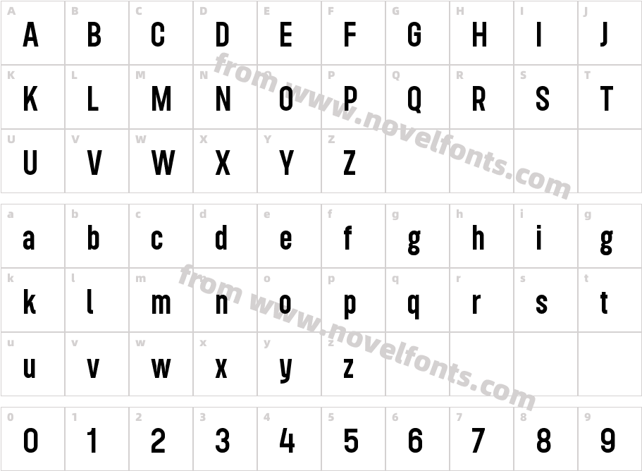Roundkey MediumCharacter Map