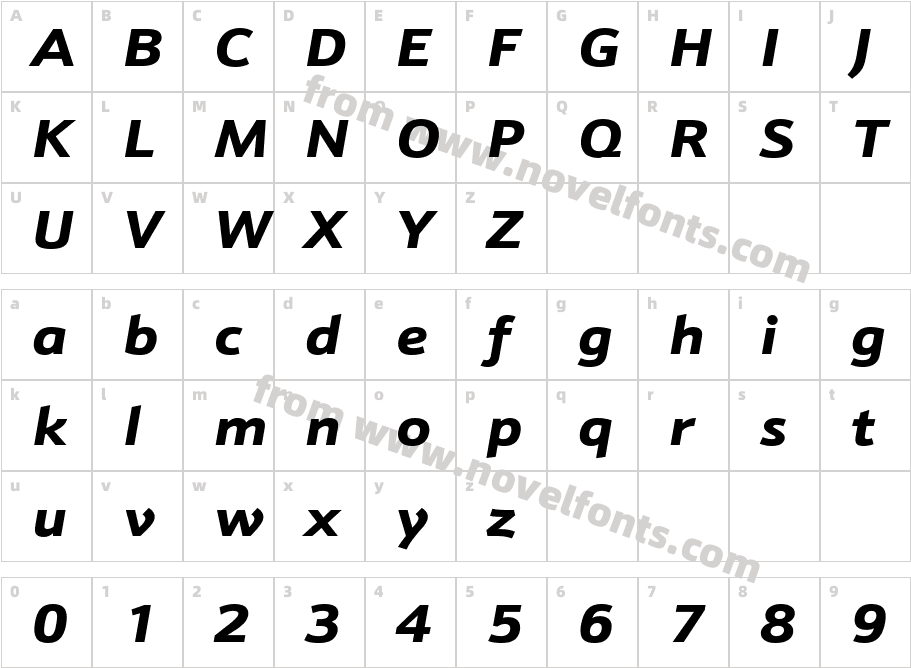 Schnebel Sans Pro Expand Black ItalicCharacter Map
