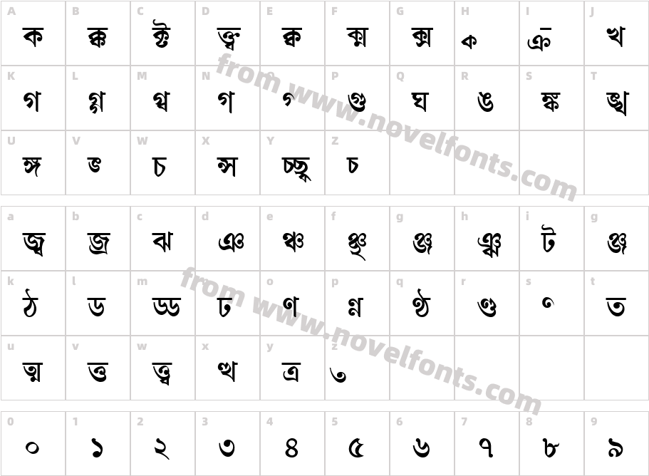 Shree Ass 0552Character Map