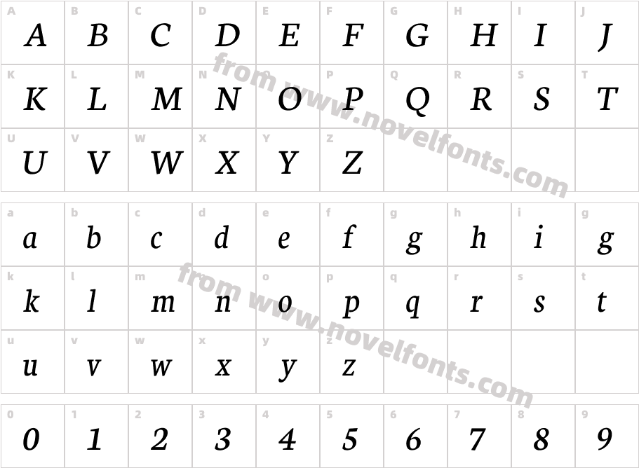 Neuton Alt ItalicCharacter Map