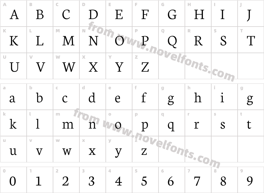 Neuton LightCharacter Map