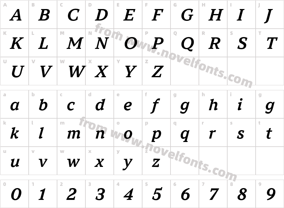 TT Norms Pro Serif Trl Db ItCharacter Map