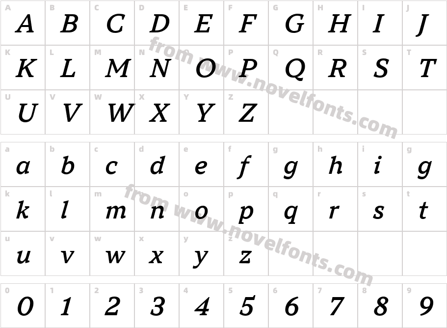TT Norms Pro Serif Trl Md ItCharacter Map