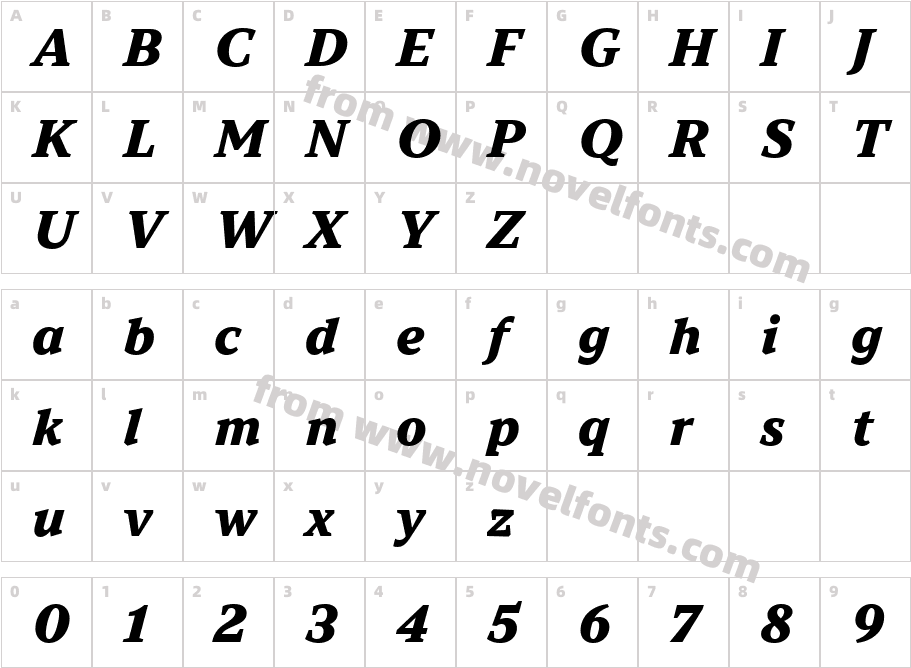 TT Norms Pro Serif Trl X Bd ItCharacter Map