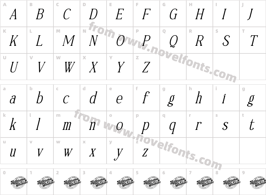Timeless Silvera DEMO VERSION ItalicCharacter Map