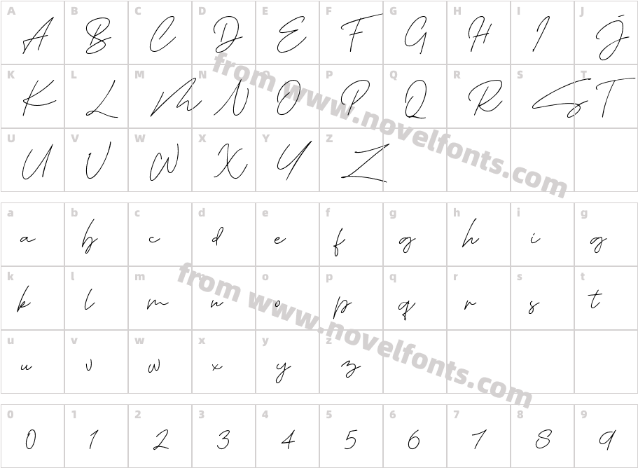 Tropical Summer SignatureCharacter Map