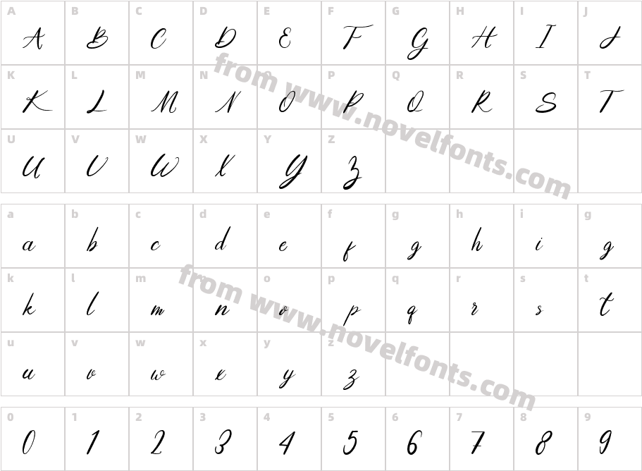 Niko Curt ScriptCharacter Map