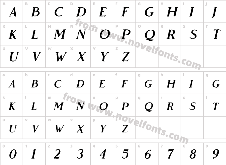Vendeur Rough ItalicCharacter Map