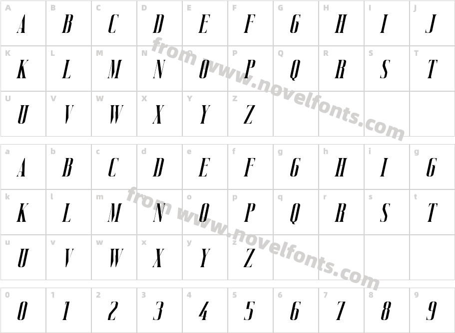 Vicenza ItalicCharacter Map
