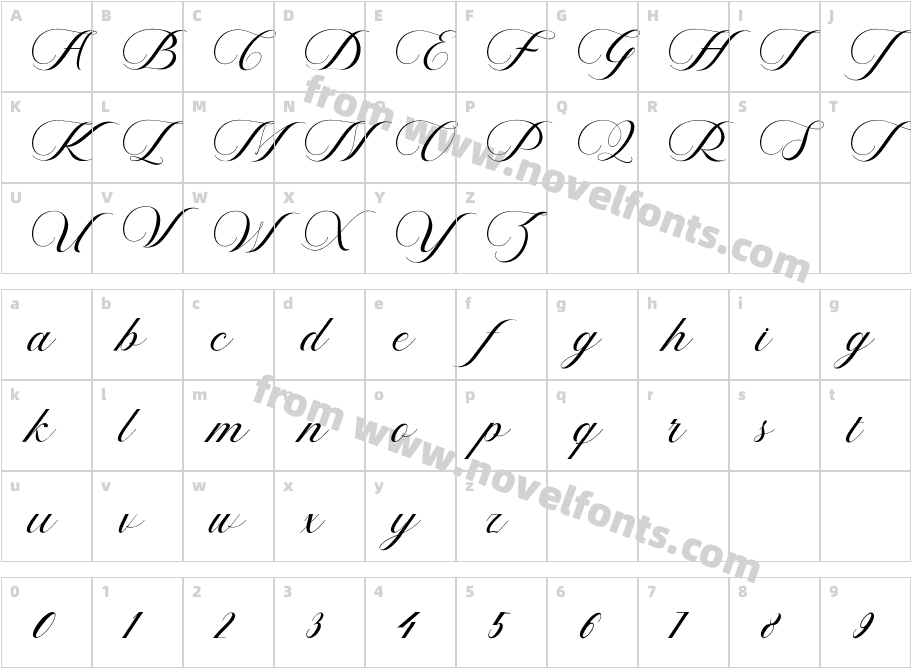 VioletaCharacter Map