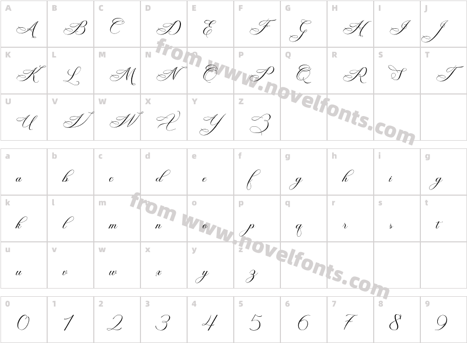 Wellington Script RegularCharacter Map