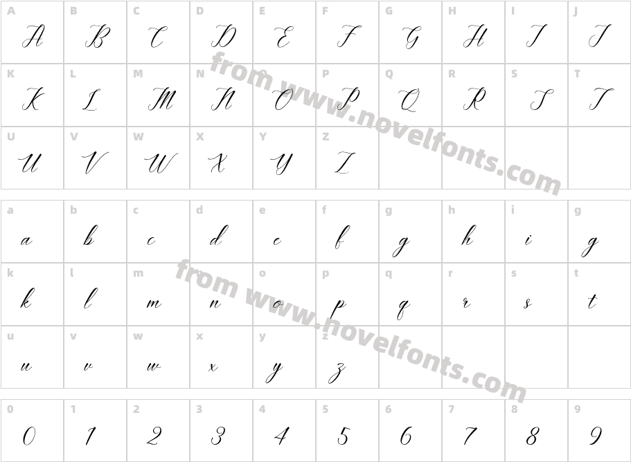 Wildane ScriptCharacter Map