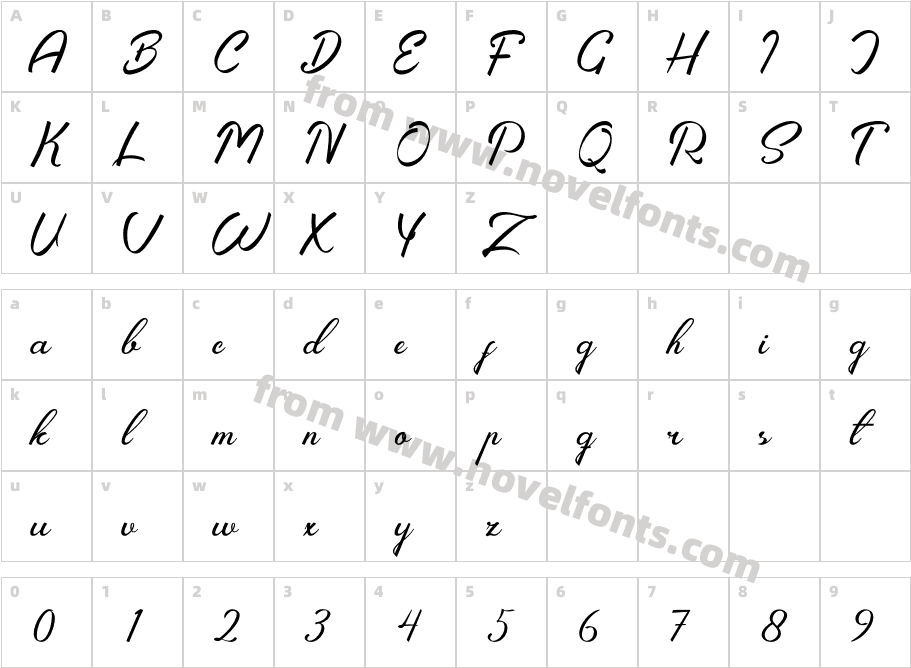 ZignatureCharacter Map