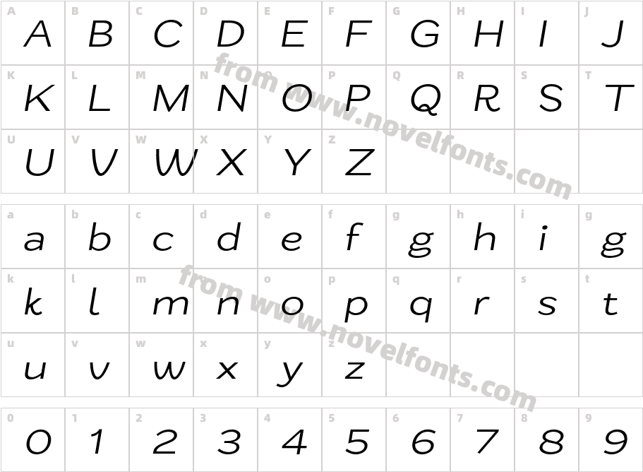 Zt Nezto Light ItalicCharacter Map