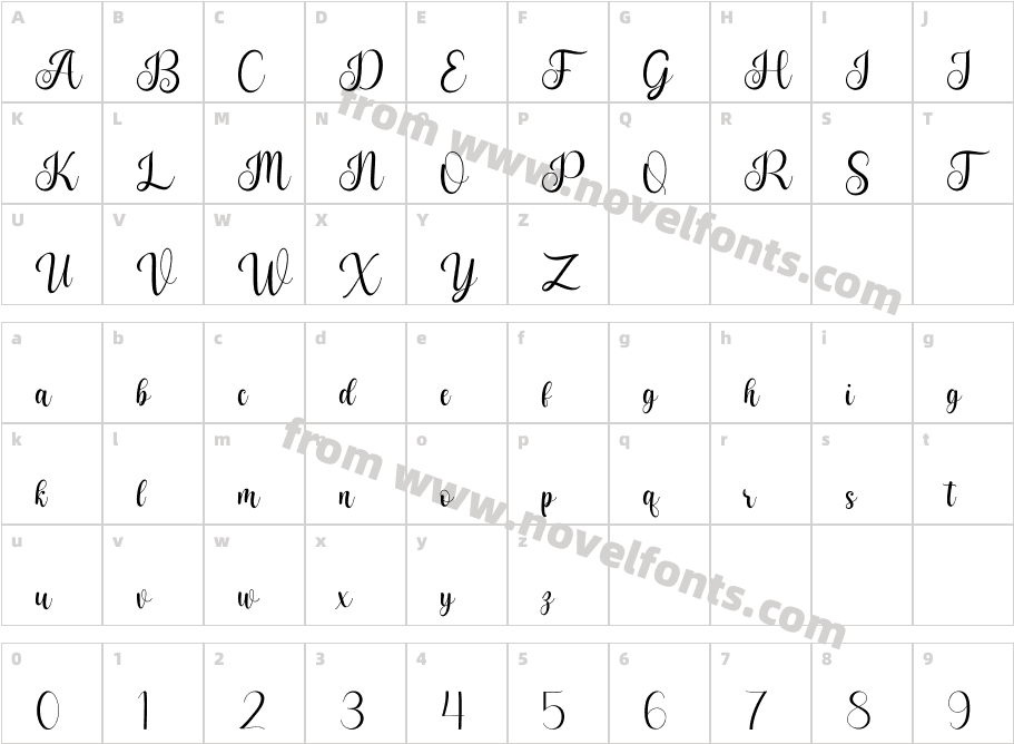 holly scriptCharacter Map