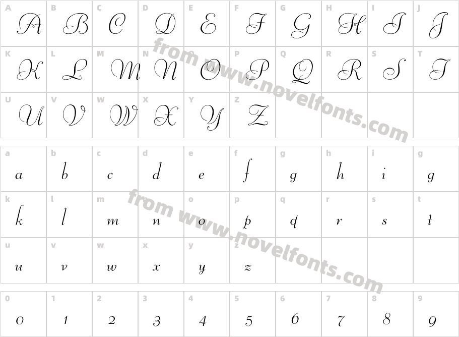 OPTILibertyFoundryCharacter Map