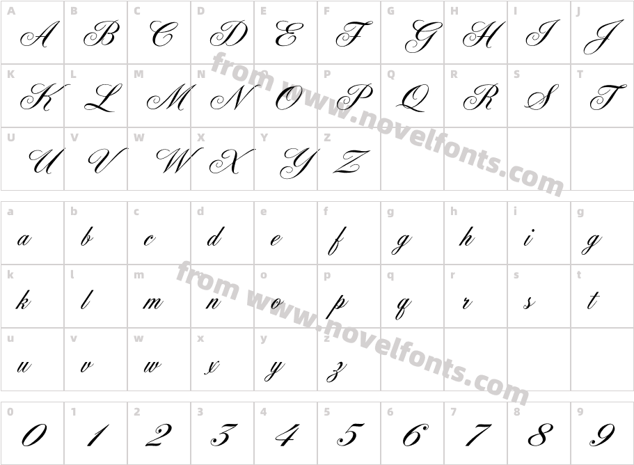 OPTIYork-ScriptCharacter Map