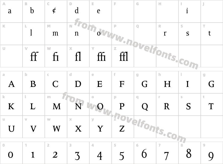 Octavian MT ExpertCharacter Map