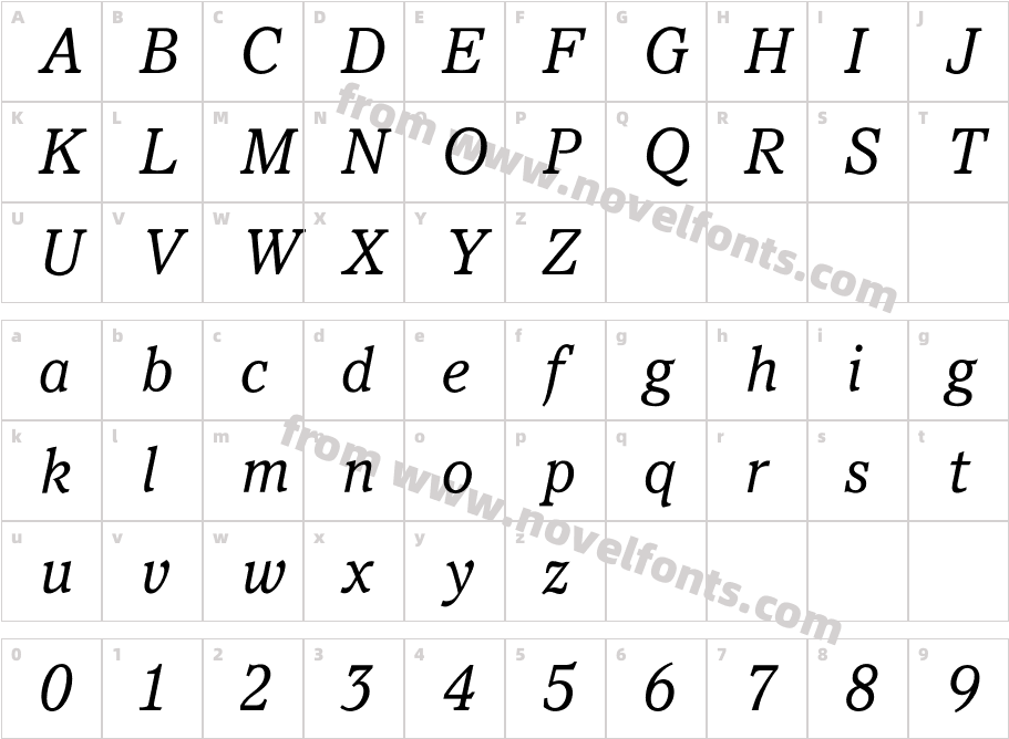 PacellaBookItalicCharacter Map