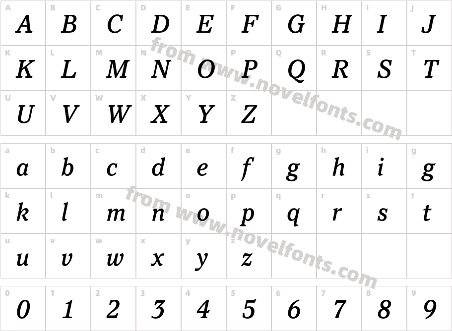 PacellaEF-MediumItalicCharacter Map