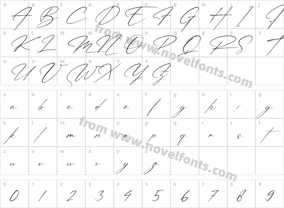 Patricia Signature ItalicCharacter Map