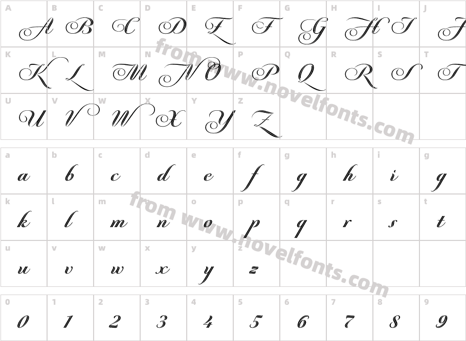 Perfil RegularCharacter Map