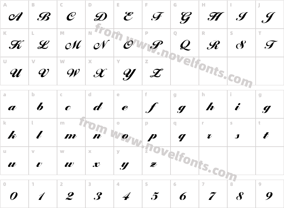 Premi Script SSiCharacter Map