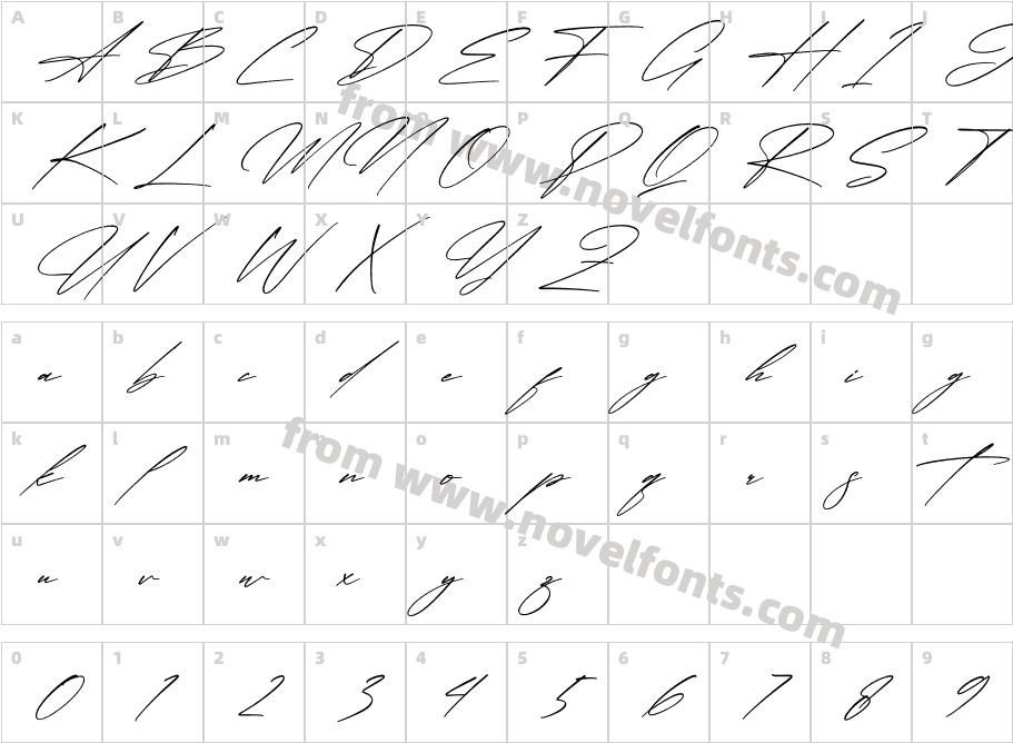 Qalisha Signature Script ItalicCharacter Map