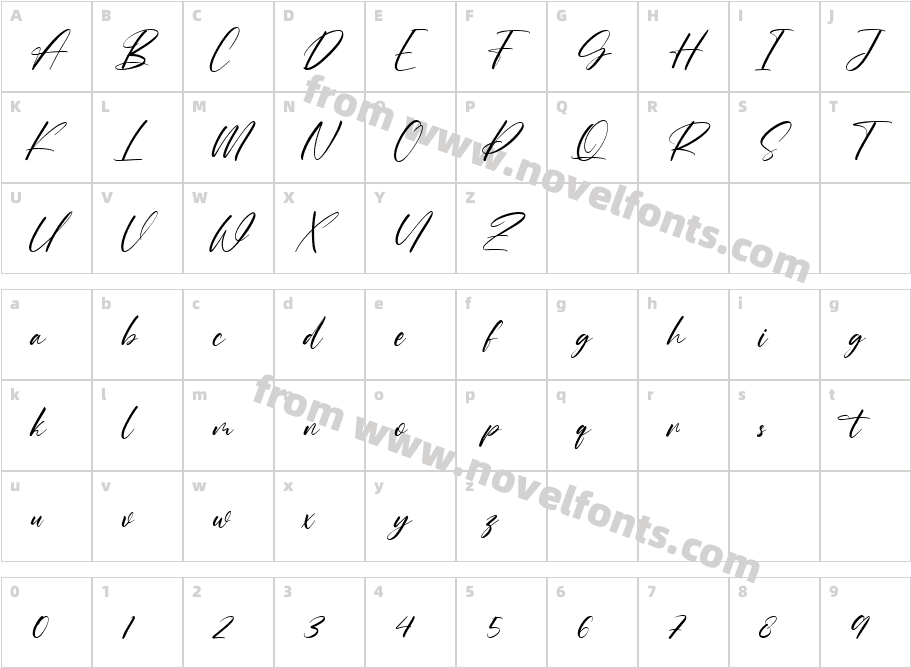 Roche ShirtCharacter Map