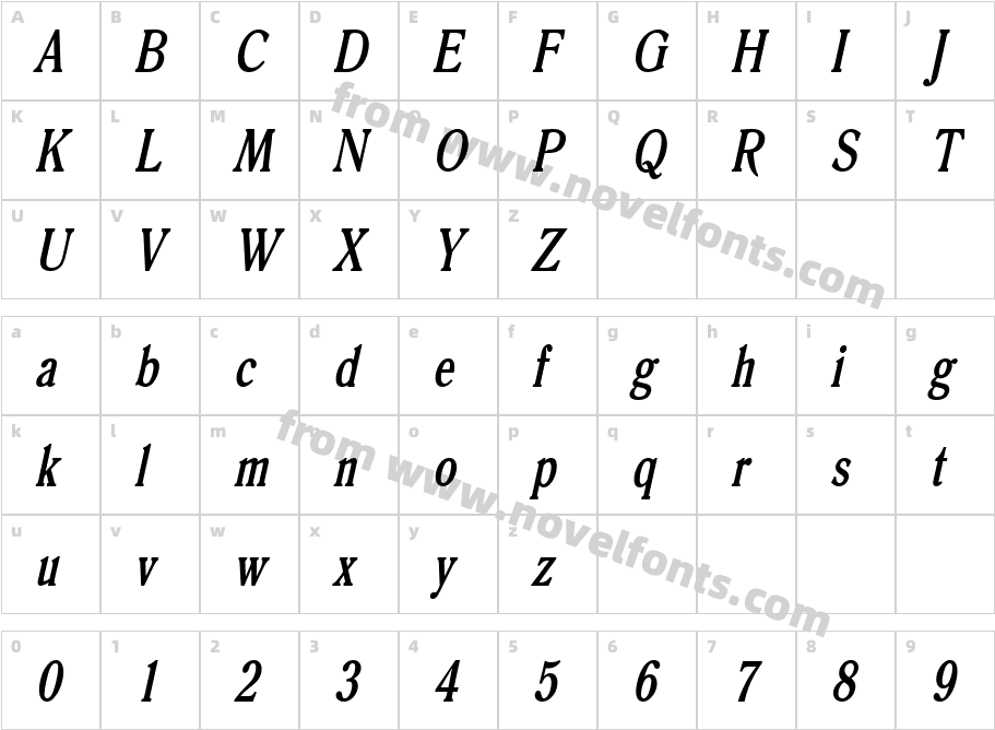 Roomy Thin BoldItalicCharacter Map