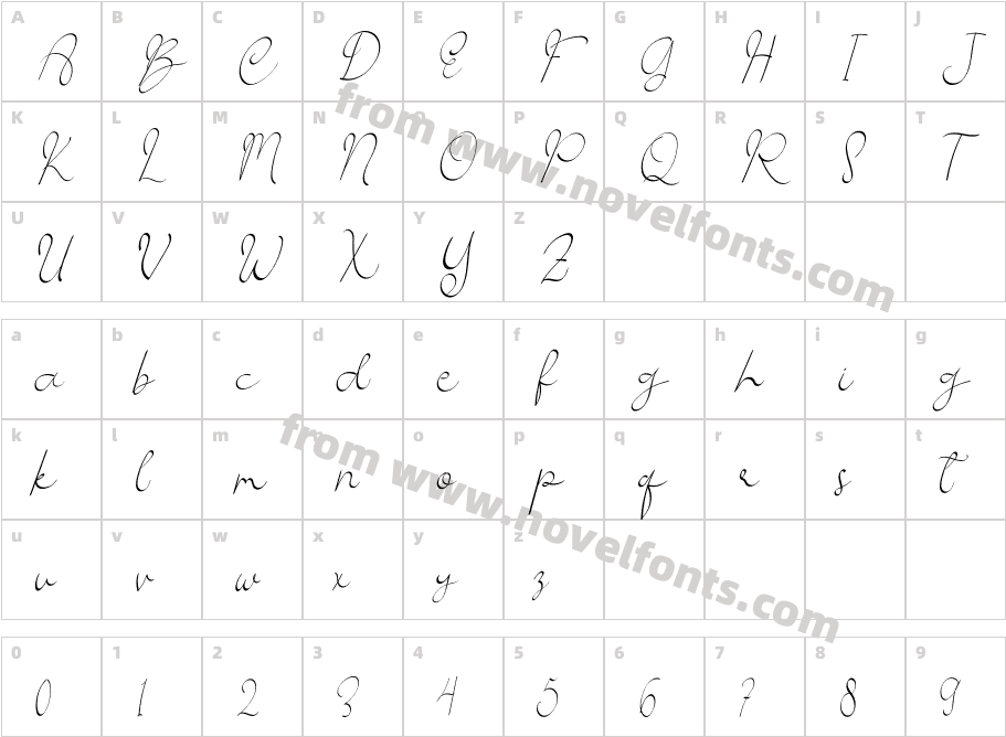 ShafiraConfirateRegularCharacter Map