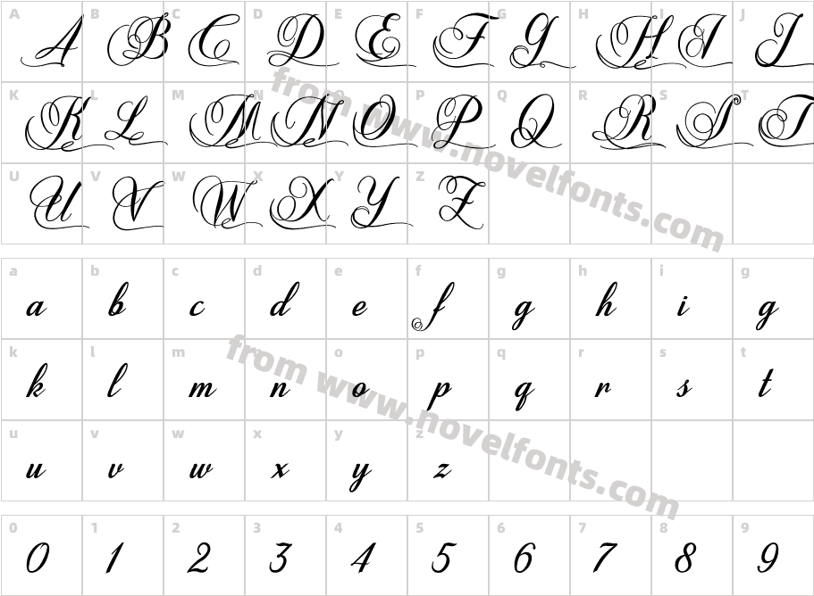 Shannia BoldCharacter Map