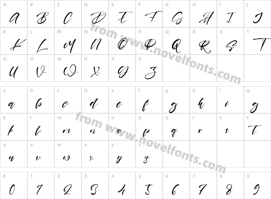 ShayneCharacter Map