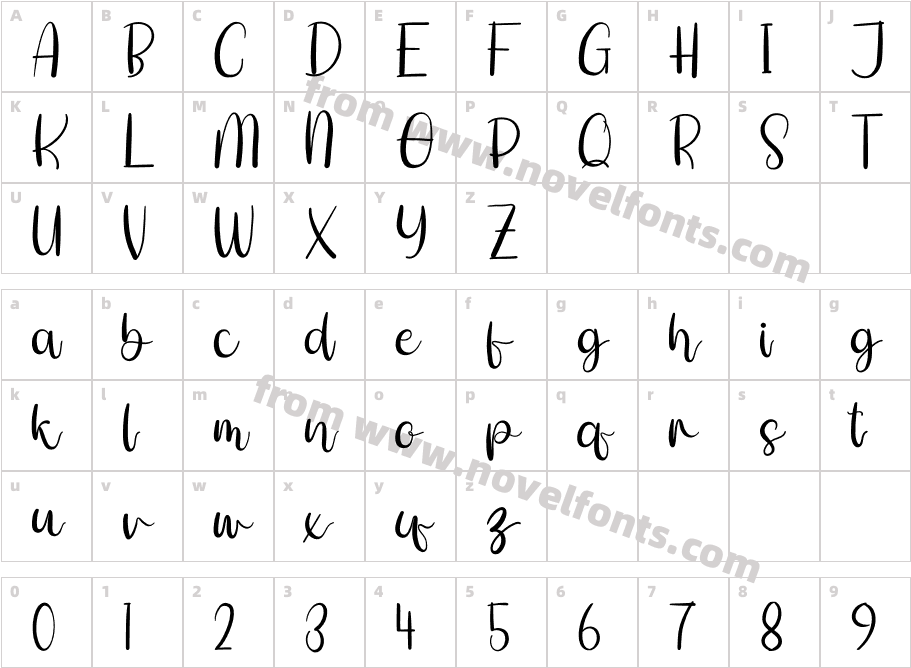 Shitti BeautyCharacter Map