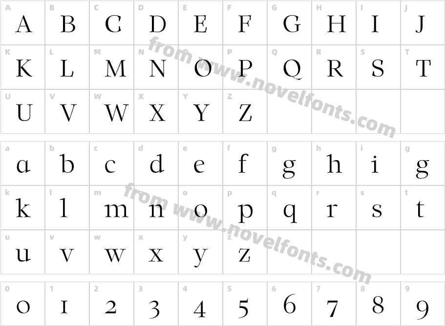 Solomon DemoCharacter Map