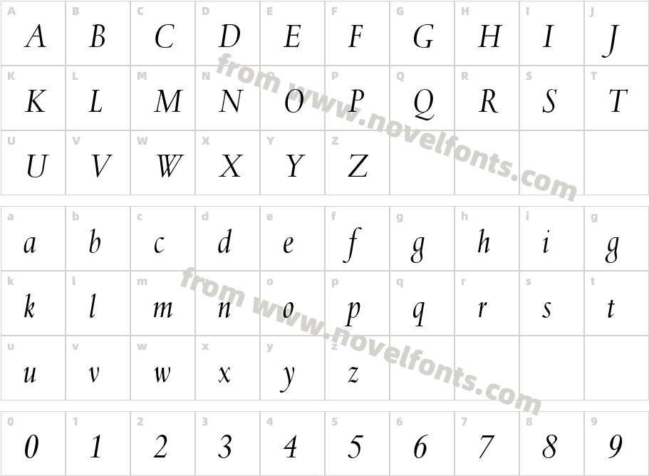 SpectrumMT ItalicCharacter Map