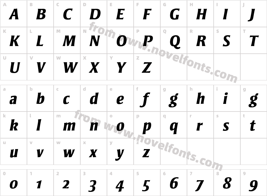 StrayhornMT-ExtraBoldItaOsFCharacter Map