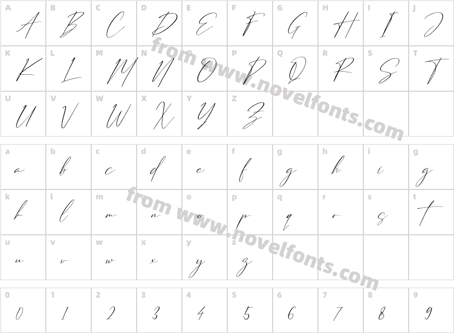 Strongela DelmonteCharacter Map