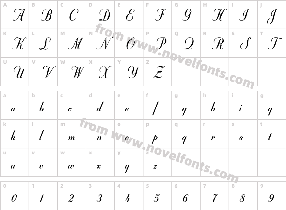 StuyvesantICG SolidCharacter Map