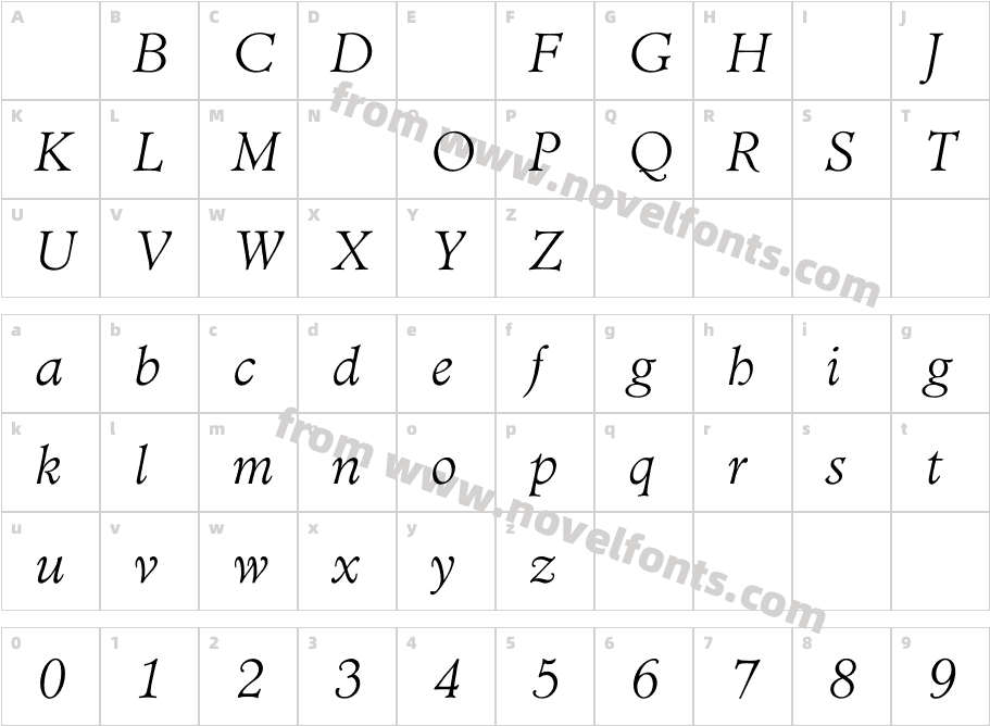 TC Administer Light ItalicCharacter Map