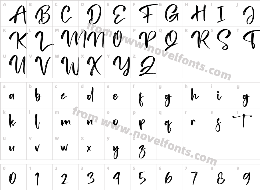 Tedy BrushCharacter Map