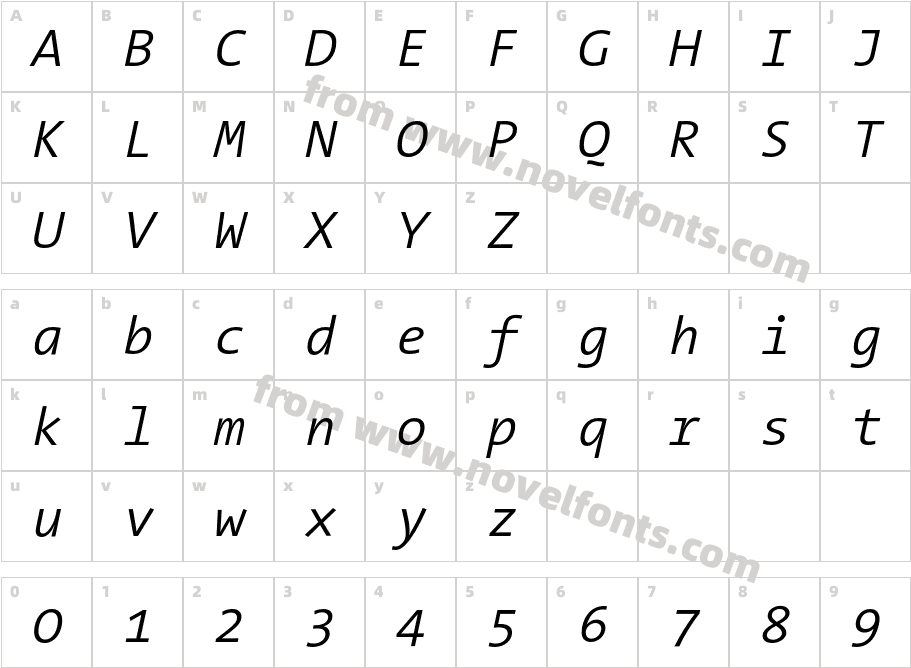 The Sans Mono Semi Light ItalicCharacter Map