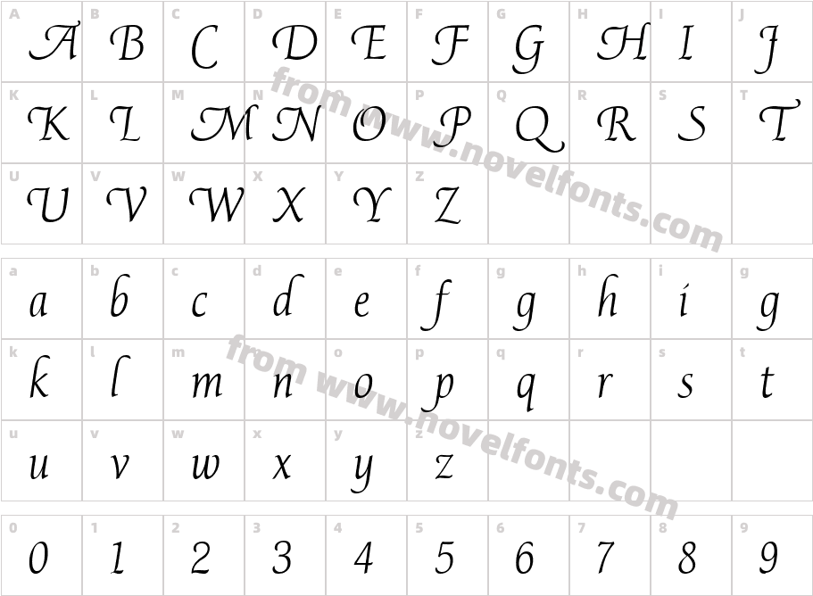 Avocet LightCharacter Map